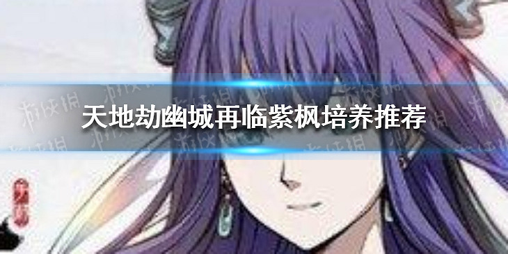《天地劫》幽城再臨紫楓怎麽樣 紫楓培養推薦 《天地劫》幽城再臨紫楓怎麽樣 紫楓培養推薦