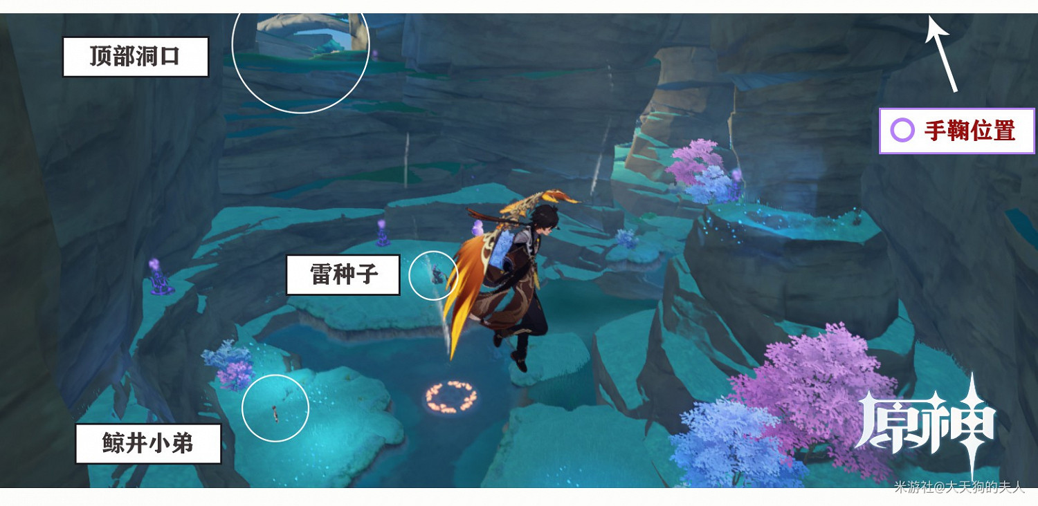 《原神》鯨井小弟與手鞠位置整理