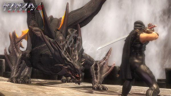 《忍者龍劍傳大師合集》第三章神魔戰怎麽打？雷剛蟲打法分享