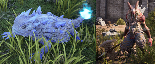 《神祐釋放》夏日火蜥蜴慶典活動介紹 《神祐釋放》夏日火蜥蜴慶典活動介紹