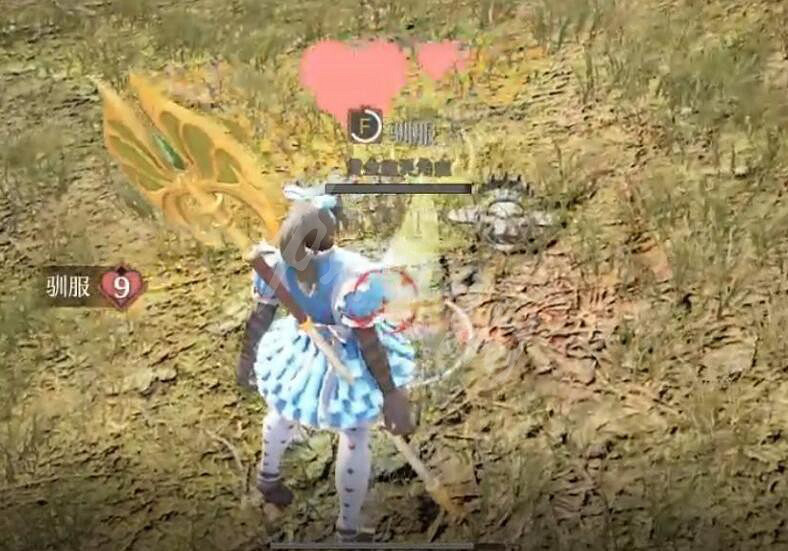 《神祐釋放》迅捷潘潘位置分享 《神祐釋放》迅捷潘潘位置分享