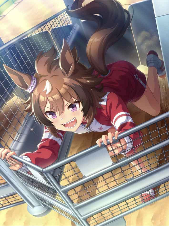 《賽馬娘手遊》新光風支援卡效果 新支援卡新光風效果翻譯