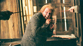 《哈利波特魔法覺醒》魔杖巫師彙總 哈利波特手遊魔杖杖芯特性大全