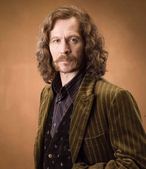 《哈利波特魔法覺醒》魔杖巫師彙總 哈利波特手遊魔杖杖芯特性大全