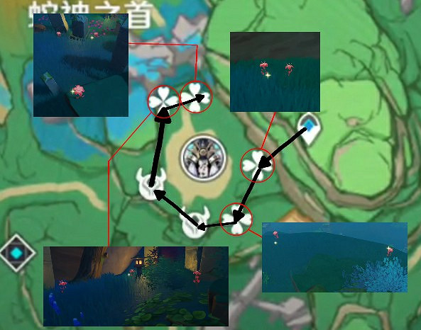 《原神》血斛高效採集地點及路線 《原神》血斛高效採集地點及路線