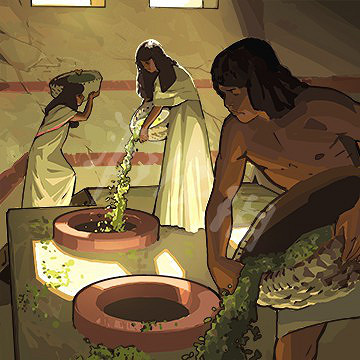 《人類》Humankind全建築設施效果一覽 Humankind基礎設施有哪些？