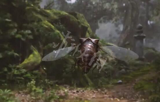 《黑神話悟空》技能有什麽效果?技能解析 《黑神話悟空》技能有什麽效果?技能解析