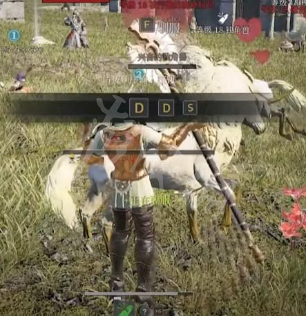 《神祐釋放》抓坐騎方法分享