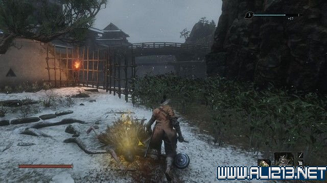 《隻狼暗影雙死》新手圖文流程攻略 中文設定+關卡流程+Boss打法攻略