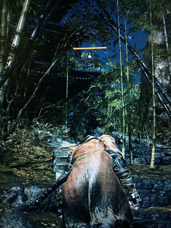 《隻狼暗影雙死》怎麽快速升級 快速升級方法分享 《隻狼暗影雙死》怎麽快速升級 快速升級方法分享