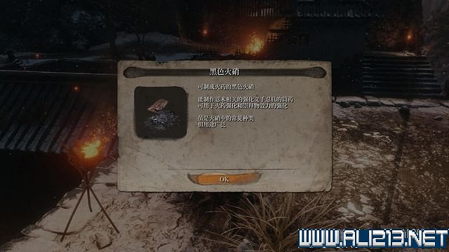 《隻狼暗影雙死》新手圖文流程攻略 中文設定+關卡流程+Boss打法攻略