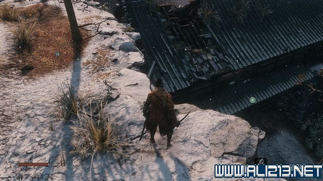 《隻狼暗影雙死》新手圖文流程攻略 中文設定+關卡流程+Boss打法攻略