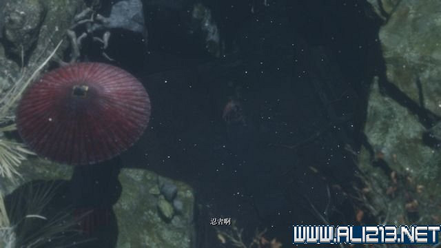 《隻狼暗影雙死》新手圖文流程攻略 中文設定+關卡流程+Boss打法攻略