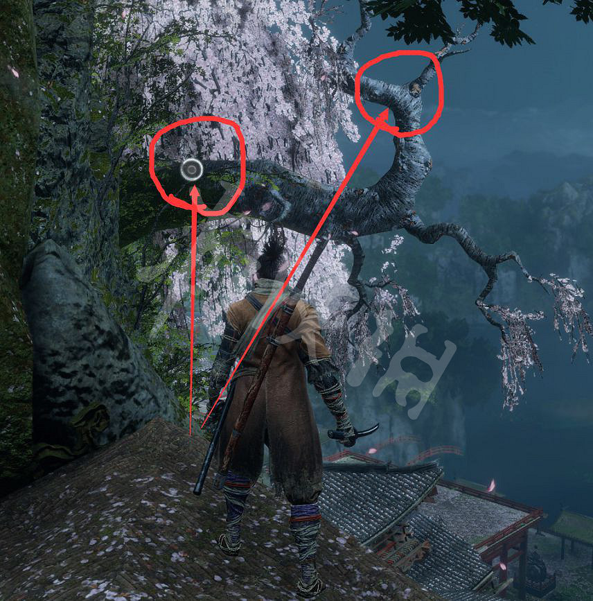 《隻狼暗影雙死》魚王在哪？魚王位置分享