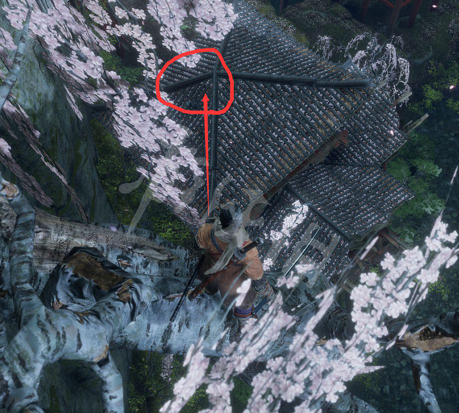 《隻狼暗影雙死》魚王在哪？魚王位置分享