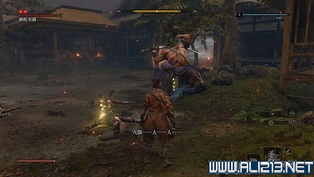 《隻狼暗影雙死》新手圖文流程攻略 中文設定+關卡流程+Boss打法攻略