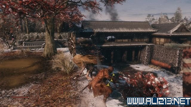 《隻狼暗影雙死》新手圖文流程攻略 中文設定+關卡流程+Boss打法攻略