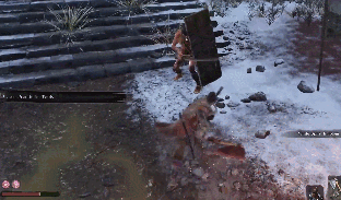 《隻狼暗影雙死》新手入門攻略 新手遊玩心得分享 《隻狼暗影雙死》新手入門攻略 新手遊玩心得分享