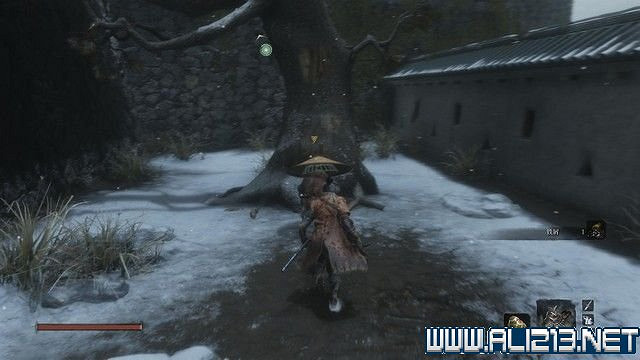 《隻狼暗影雙死》新手圖文流程攻略 中文設定+關卡流程+Boss打法攻略