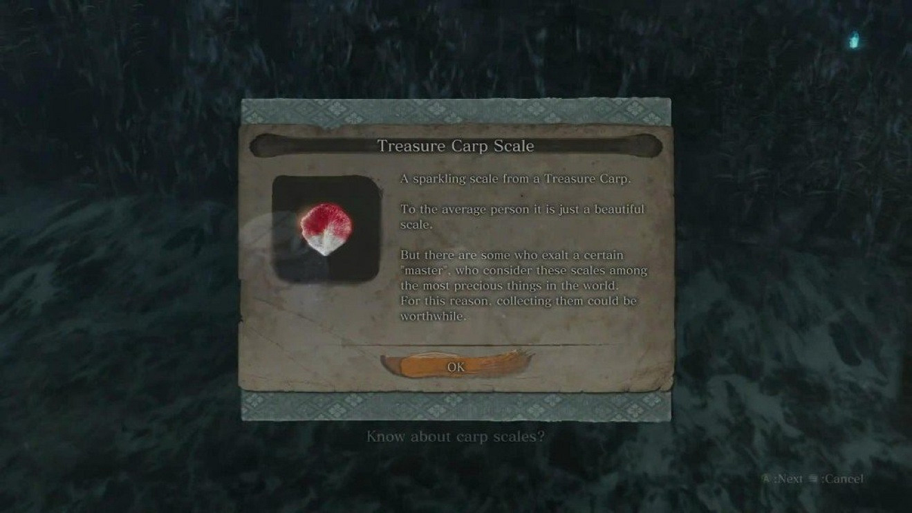 《隻狼暗影雙死》全系統玩法解析 新手玩法指南