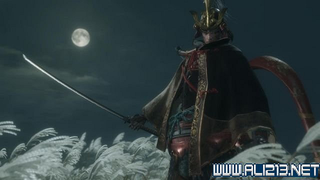 《隻狼暗影雙死》新手圖文流程攻略 中文設定+關卡流程+Boss打法攻略