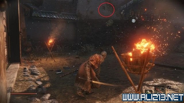 《隻狼暗影雙死》新手圖文流程攻略 中文設定+關卡流程+Boss打法攻略