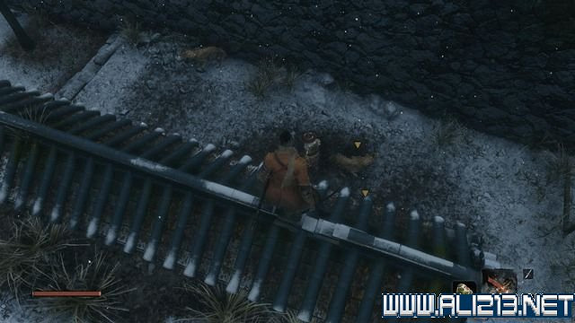 《隻狼暗影雙死》新手圖文流程攻略 中文設定+關卡流程+Boss打法攻略