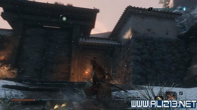 《隻狼暗影雙死》新手圖文流程攻略 中文設定+關卡流程+Boss打法攻略