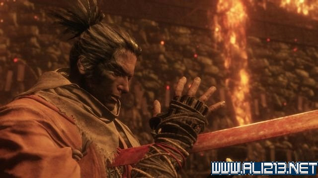 《隻狼暗影雙死》新手圖文流程攻略 中文設定+關卡流程+Boss打法攻略