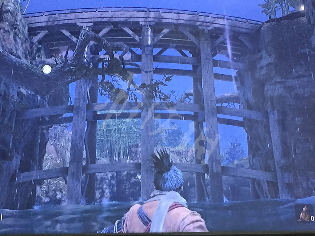 《隻狼暗影雙死》魚鱗在哪裡 魚鱗獲得位置說明