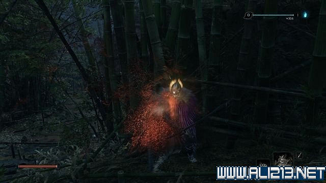 《隻狼暗影雙死》新手圖文流程攻略 中文設定+關卡流程+Boss打法攻略