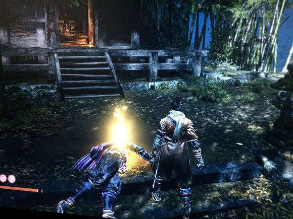 《隻狼暗影雙死》怎麽快速升級 快速升級方法分享 《隻狼暗影雙死》怎麽快速升級 快速升級方法分享