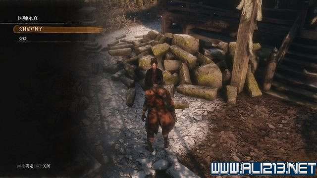 《隻狼暗影雙死》新手圖文流程攻略 中文設定+關卡流程+Boss打法攻略