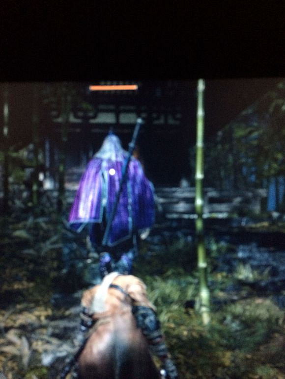 《隻狼暗影雙死》怎麽快速升級 快速升級方法分享 《隻狼暗影雙死》怎麽快速升級 快速升級方法分享