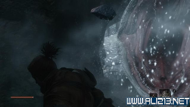 《隻狼暗影雙死》新手圖文流程攻略 中文設定+關卡流程+Boss打法攻略