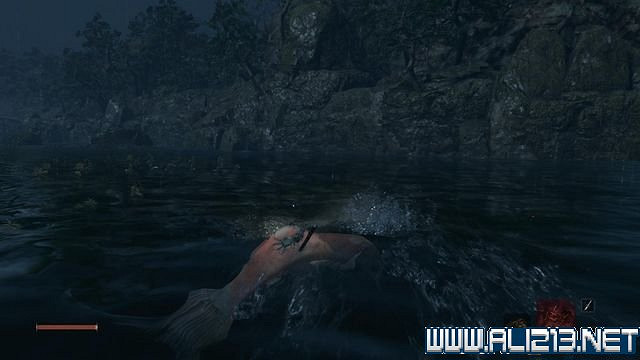 《隻狼暗影雙死》新手圖文流程攻略 中文設定+關卡流程+Boss打法攻略