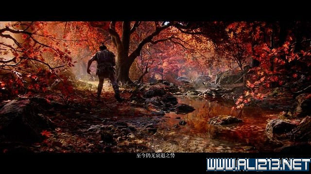 《隻狼暗影雙死》新手圖文流程攻略 中文設定+關卡流程+Boss打法攻略