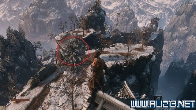 《隻狼暗影雙死》新手圖文流程攻略 中文設定+關卡流程+Boss打法攻略