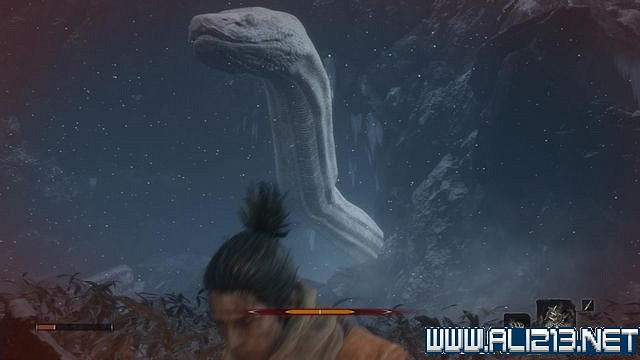 《隻狼暗影雙死》新手圖文流程攻略 中文設定+關卡流程+Boss打法攻略