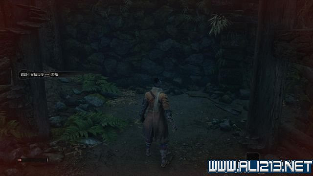 《隻狼暗影雙死》新手圖文流程攻略 中文設定+關卡流程+Boss打法攻略