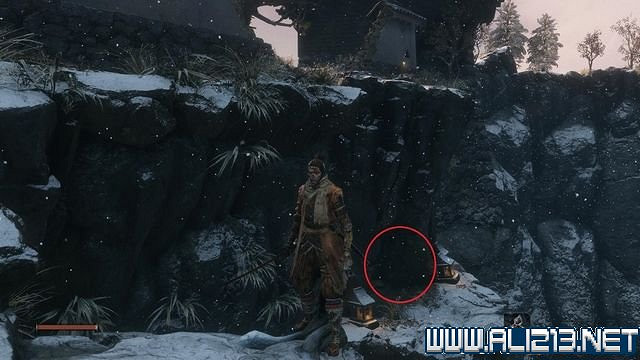 《隻狼暗影雙死》新手圖文流程攻略 中文設定+關卡流程+Boss打法攻略