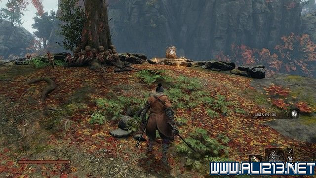 《隻狼暗影雙死》新手圖文流程攻略 中文設定+關卡流程+Boss打法攻略