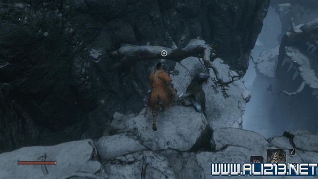 《隻狼暗影雙死》新手圖文流程攻略 中文設定+關卡流程+Boss打法攻略