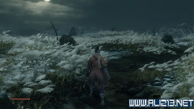 《隻狼暗影雙死》新手圖文流程攻略 中文設定+關卡流程+Boss打法攻略