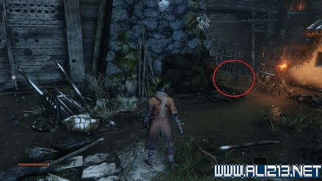 《隻狼暗影雙死》新手圖文流程攻略 中文設定+關卡流程+Boss打法攻略