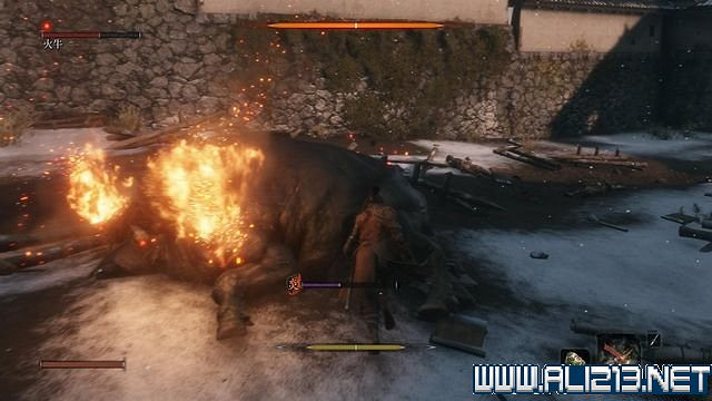 《隻狼暗影雙死》新手圖文流程攻略 中文設定+關卡流程+Boss打法攻略