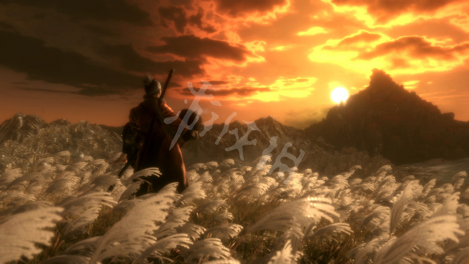 《隻狼暗影雙死》霧鴉在哪？霧鴉羽毛位置一覽