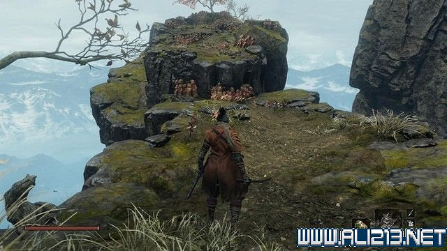 《隻狼暗影雙死》新手圖文流程攻略 中文設定+關卡流程+Boss打法攻略