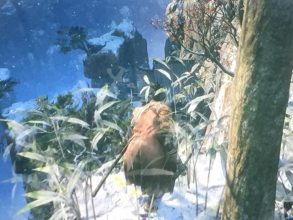 《隻狼暗影雙死》隱藏Boss在哪裡 隱藏Boss無頭位置一覽