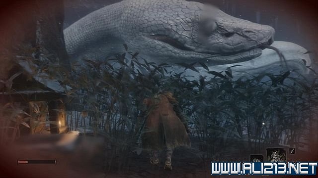 《隻狼暗影雙死》新手圖文流程攻略 中文設定+關卡流程+Boss打法攻略